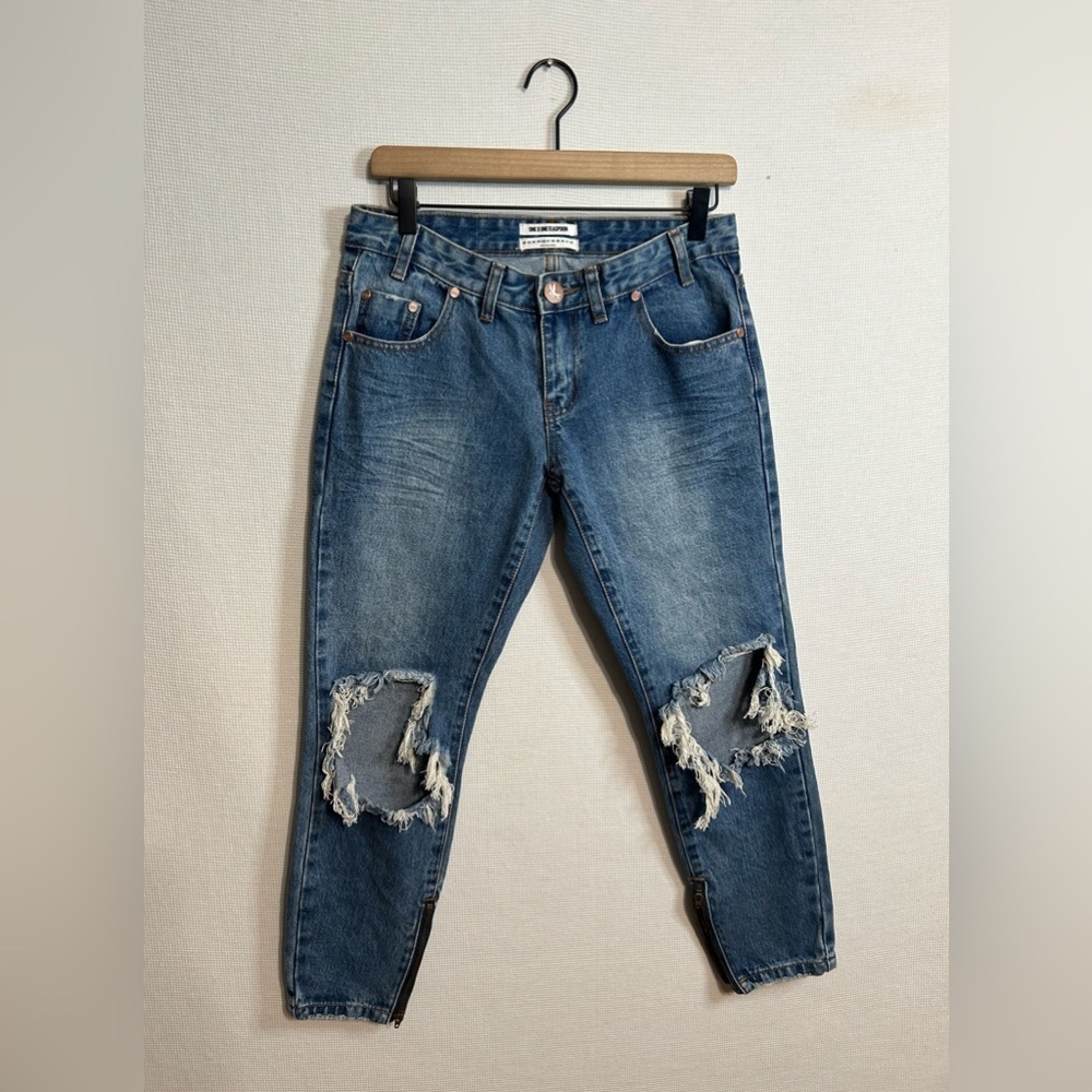 One teaspoon freebird low rise skinny leg jeans